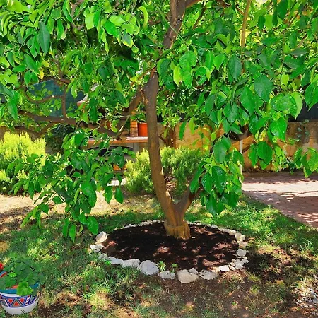 Botanic Διαμέρισμα *